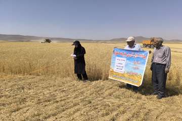 IMG_20260729_081217_129