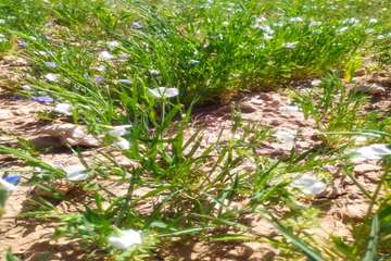 IMG_20260616_212359_733