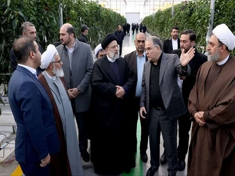 8 هکتار به مساحت گلخانه های شهرکهای کشاورزی استان افزوده می شود