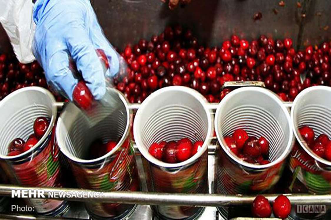 جذب سرمایه گذاری برای تکمیل وایجاد واحدهای بخش کشاورزی در زنجان