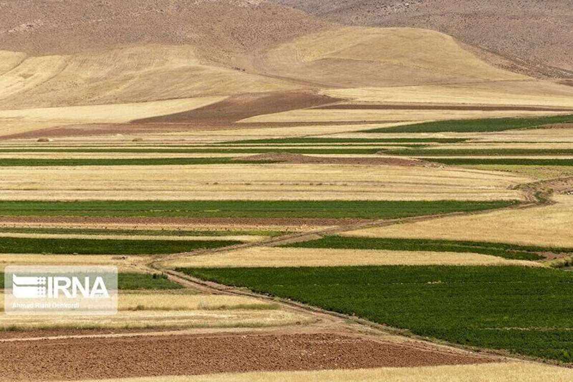 پیشگامی زنجان در اجرای طرح یکپارچه سازی اراضی کشاورزی در کشور