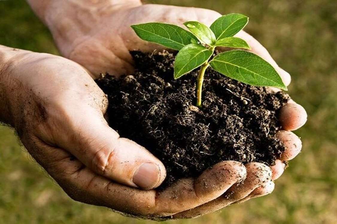 خاک، ثروت عظیمی است که باید حفظ شود