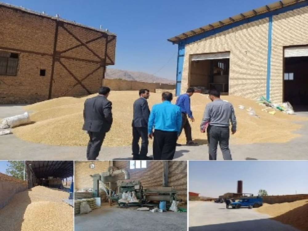 بازرسی و نظارت از واحدهای بوجاری بذر گندم در شهرستان خدابنده