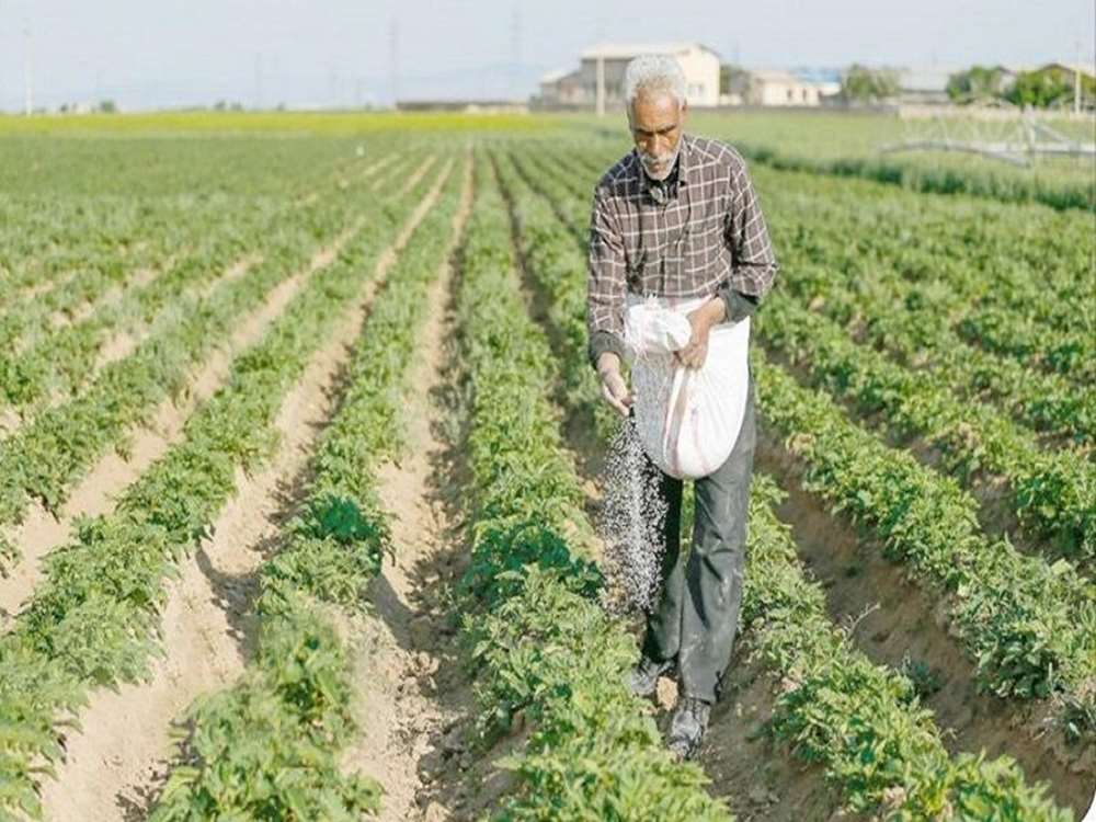 سلامت انسان، خط قرمز ما در ثبت آفت کشهاست