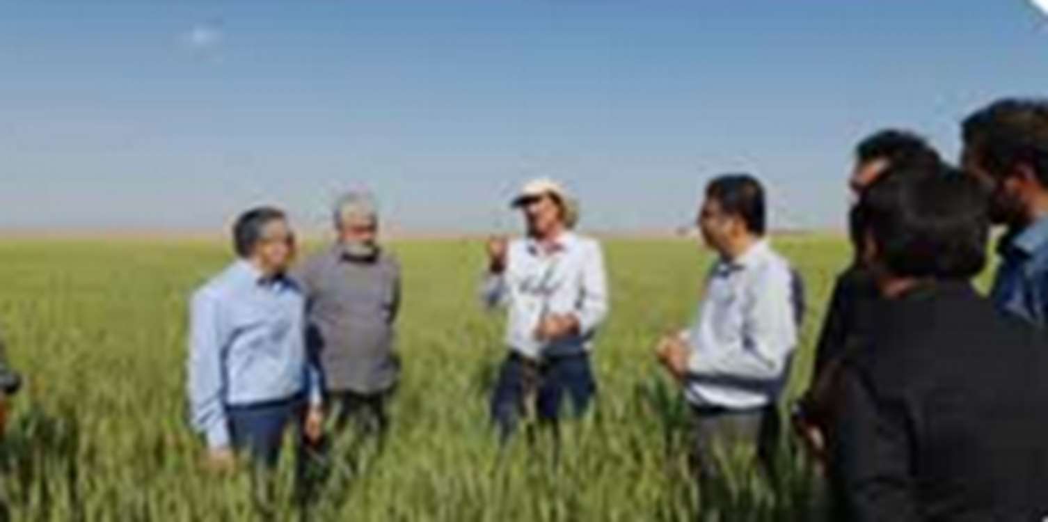 بازدید ریاست مرکز تحقیقات دیم کشور و نماینده مردم شریف شهرستان خدابنده در مجلس شورای اسلامی از کشت و صنعت اراغول