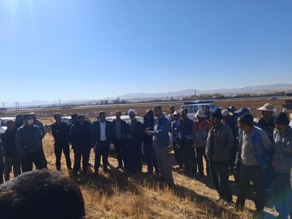 نشست علمی و آموزشی در روستای بناب زنجان با تمرکز بر اصول برداشت و انبارداری ارقام سیب‌زمینی 