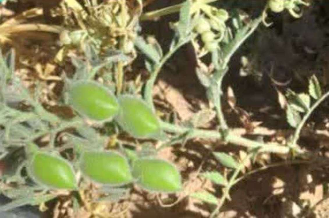 photo28613605489 
