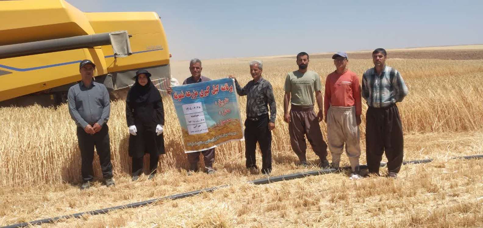 IMG_20260725_2032ارزیابی عملکرد و کیل‌گیری از مزرعه پیشرو جو آبی در روستای کهلا
‌45_072 