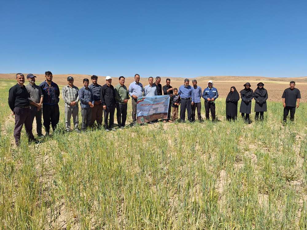 ارتقای تولید علوفه دیم در روستای قزلبلاق شهرستان خدابنده 