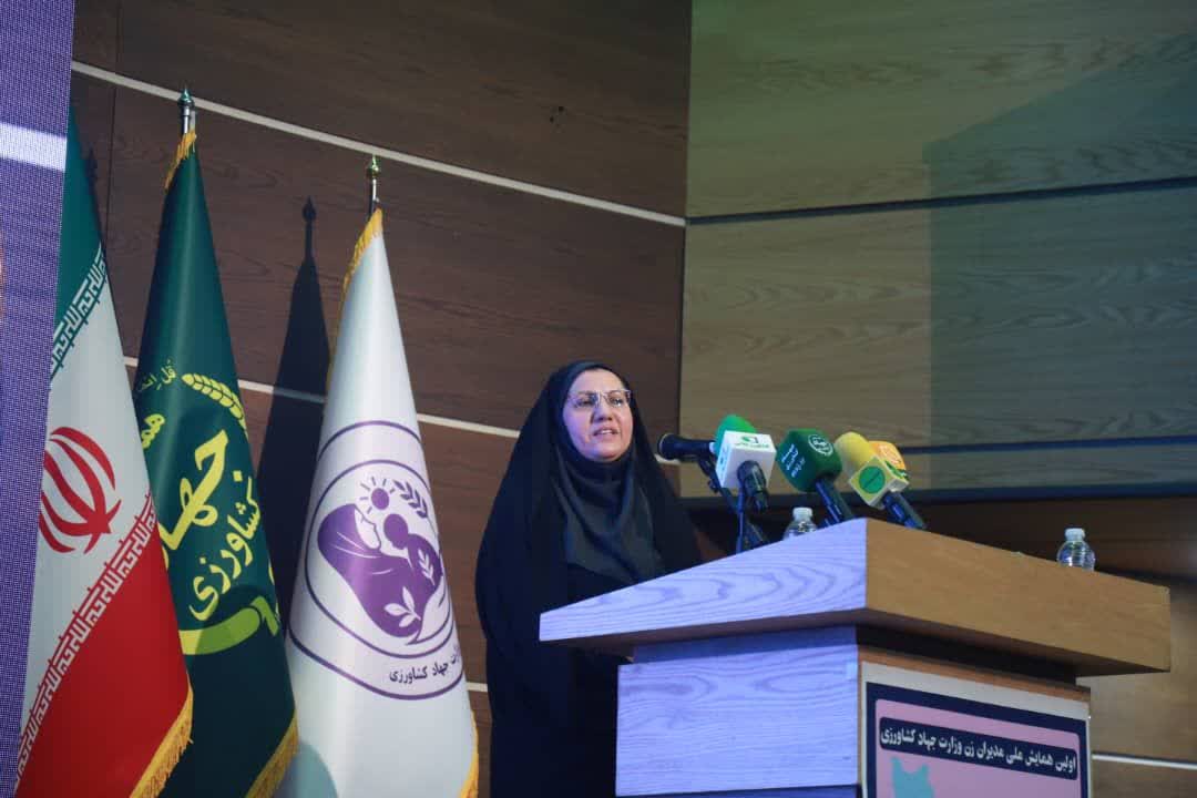 فناوری اطلاعات بستری برای توانمندسازی زنان روستایی و عشایری/ نهضت سواد دیجیتالی راه‌اندازی شود