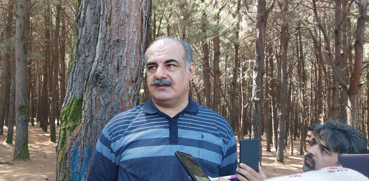اجرای طرح جنگلداری نوین در ۲۸ حوزه آبخیز جنگل‌های هیرکانی/ سلامت حوزه جایگزین تولید چوب می‌شود 