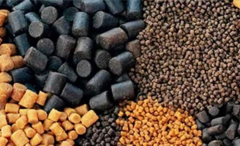 کارخانه تولید خوراک آبزیان ماهنشان فعال است