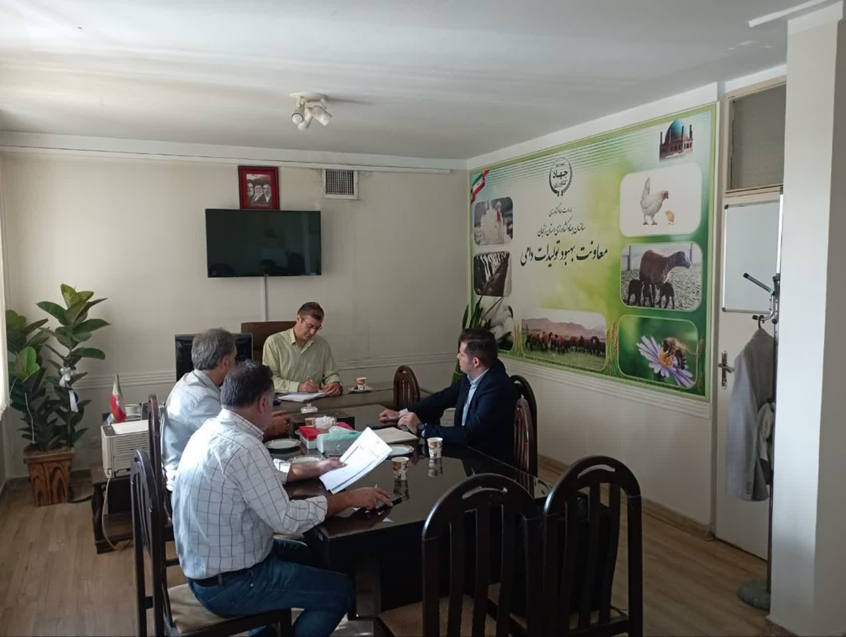 راه اندازی زنجیره ارزش زنبور عسل در استان زنجان