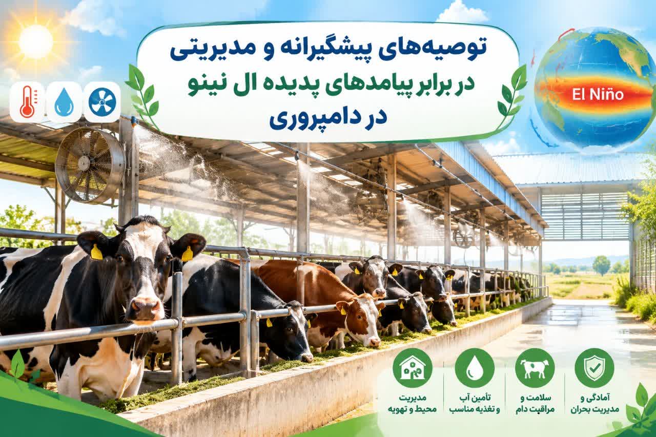 توصیه‌های پیشگیرانه و مدیریتی در برابر پیامدهای پدیده ال نینو در دامپروری