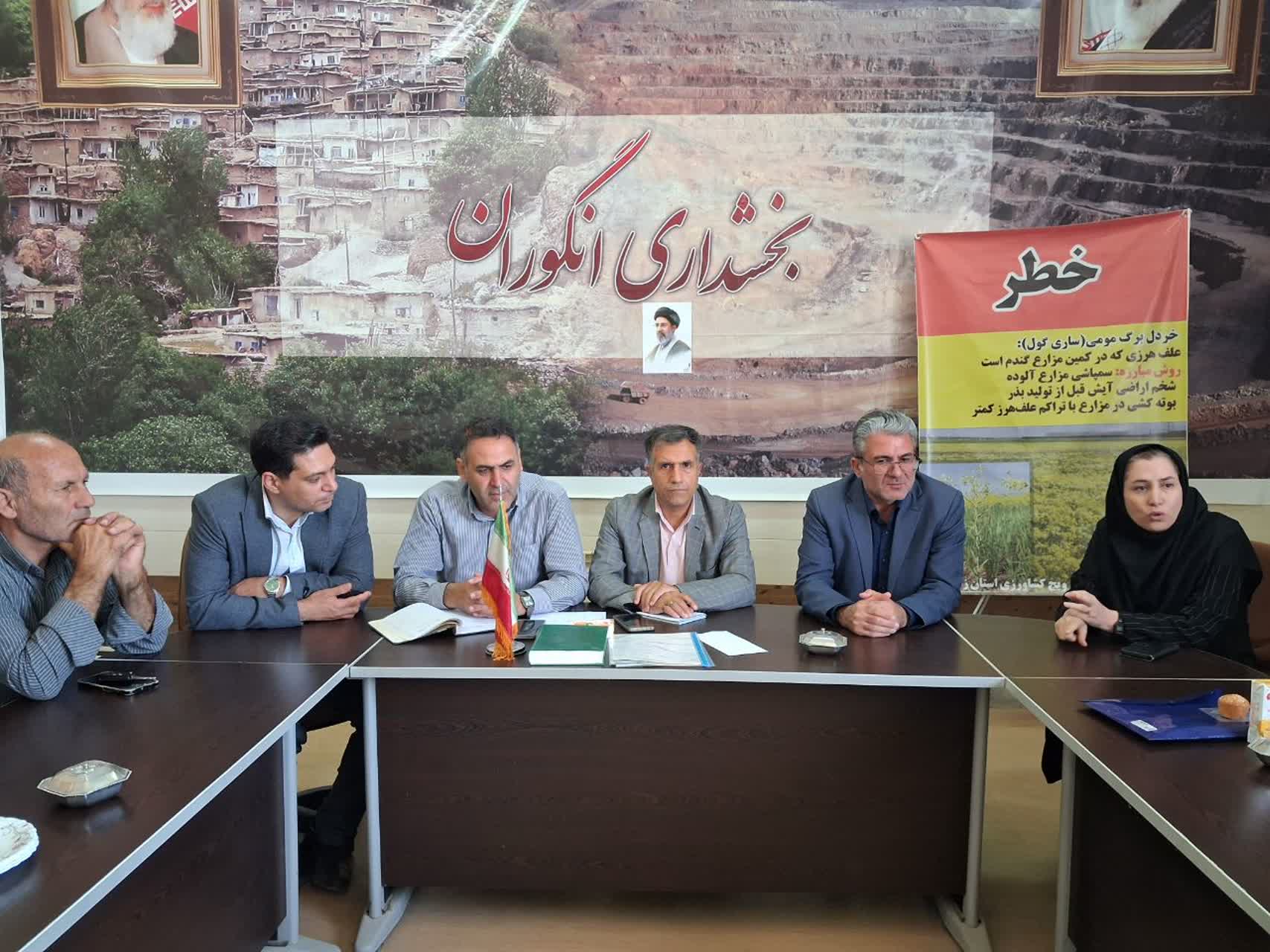 برگزاری نشست ابلاغ برنامه جامع کنترل علف هرز خردل برگ‌مومی در بخش انگوران